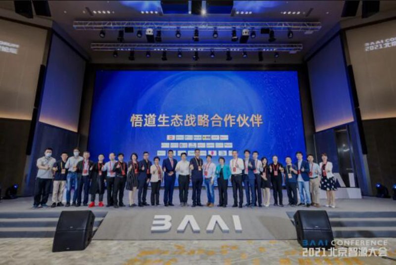 人工智能模型:从初学者到专业人士的进阶之路